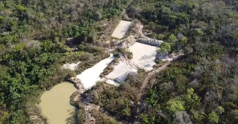 Imagem ilustrativa da notícia Polícia Federal fecha garimpo em terra Kayapó no Pará