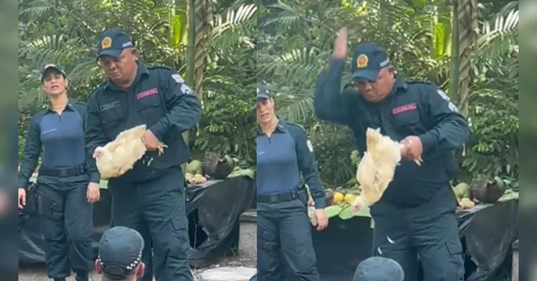 Imagem ilustrativa da notícia Vídeo: sargento da PM arranca cabeça de galinha com a mão