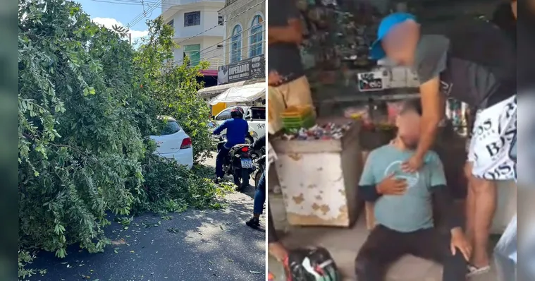 Imagem ilustrativa da notícia Vídeo: árvore cai e atinge motociclista em rua de Belém