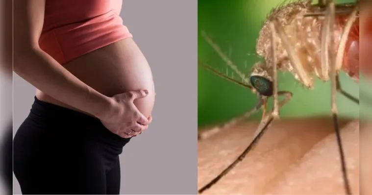 Imagem ilustrativa da notícia Febre do oropouche em grávidas é um perigo no Brasil