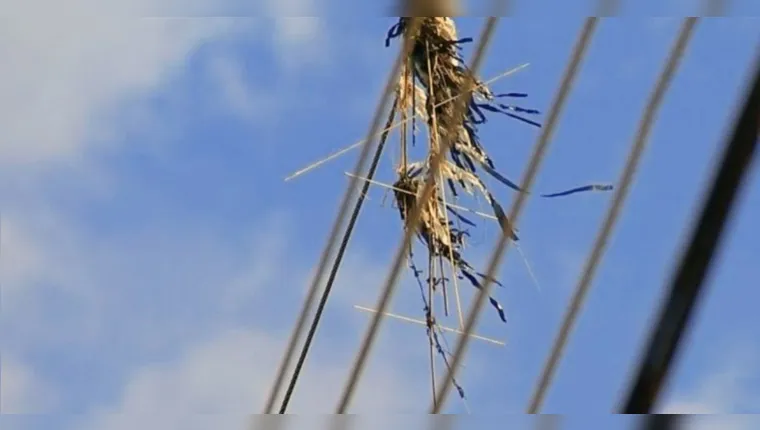 Imagem ilustrativa da notícia Entenda os riscos de soltar pipa próximo às redes elétricas