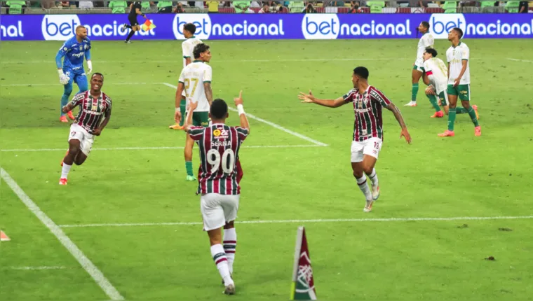 Imagem ilustrativa da notícia Fluminense bate Palmeiras e segue lutando contra o Z-4