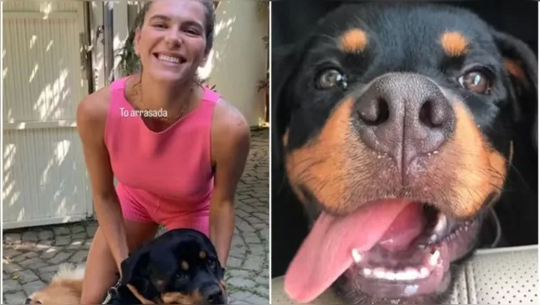 Imagem ilustrativa da notícia Ex de Cauã Reymond lamenta morte do cachorro do ator