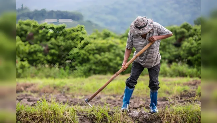 Imagem ilustrativa da notícia Veja cuidados importantes com a rede elétrica na zona rural