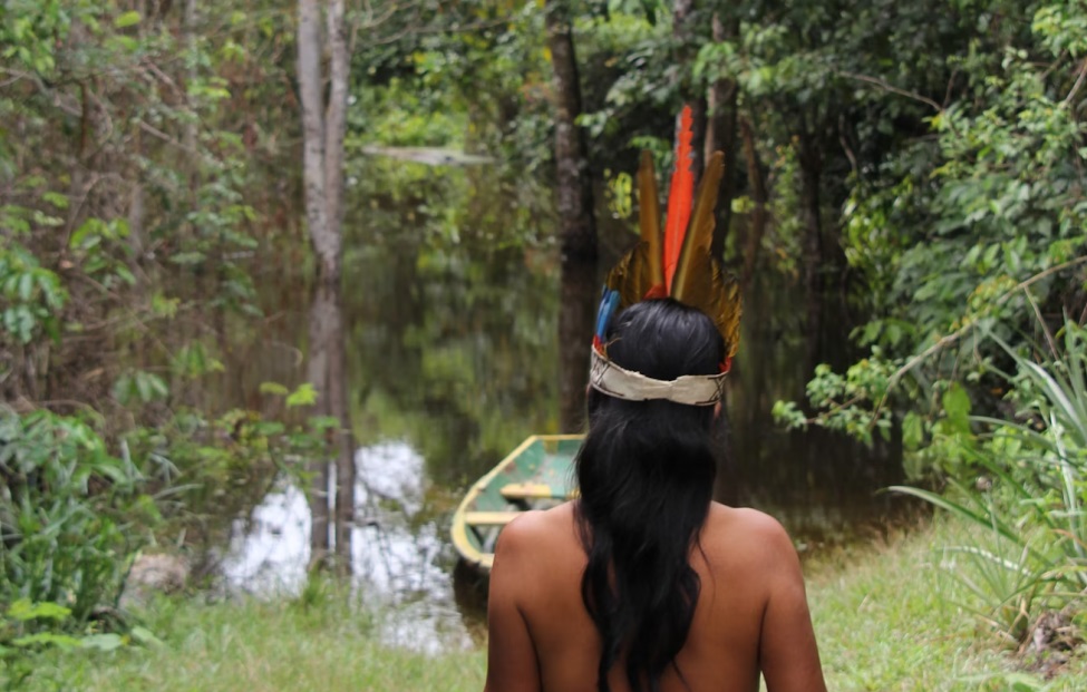Estudo aponta que relação do indígena com a natureza sempre foi de preservação