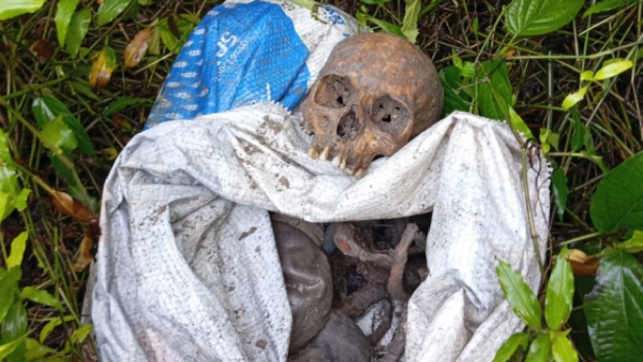 Ossada humana foi encontrada em área de mata de Icoaraci, em Belém, na manhã desta quarta-feira (22)