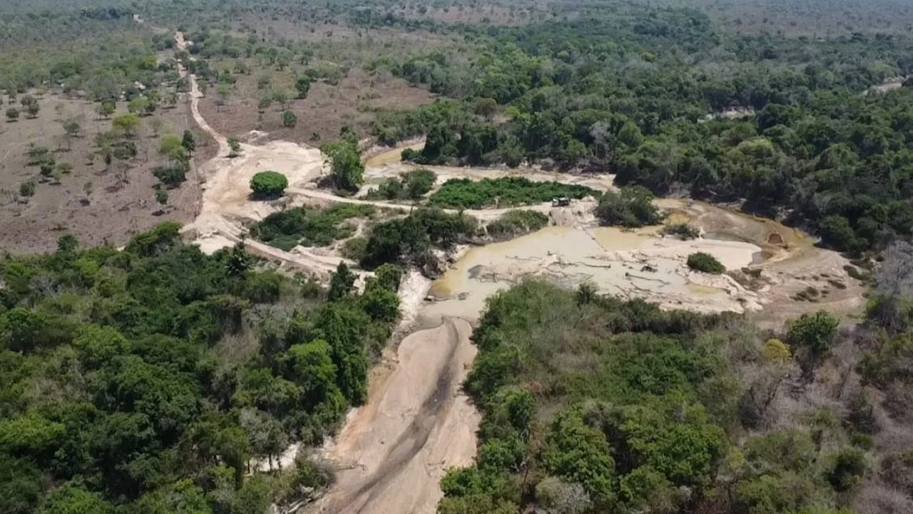 A operação faz parte de um esforço contínuo para combater atividades ilegais que comprometem os recursos naturais