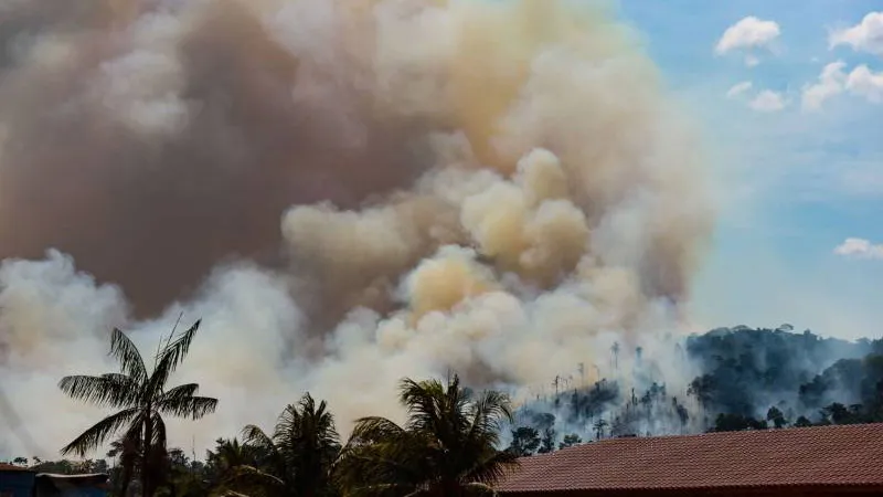 Imagem ilustrativa da notícia: Pará adota integração com plataformas ambientais federais