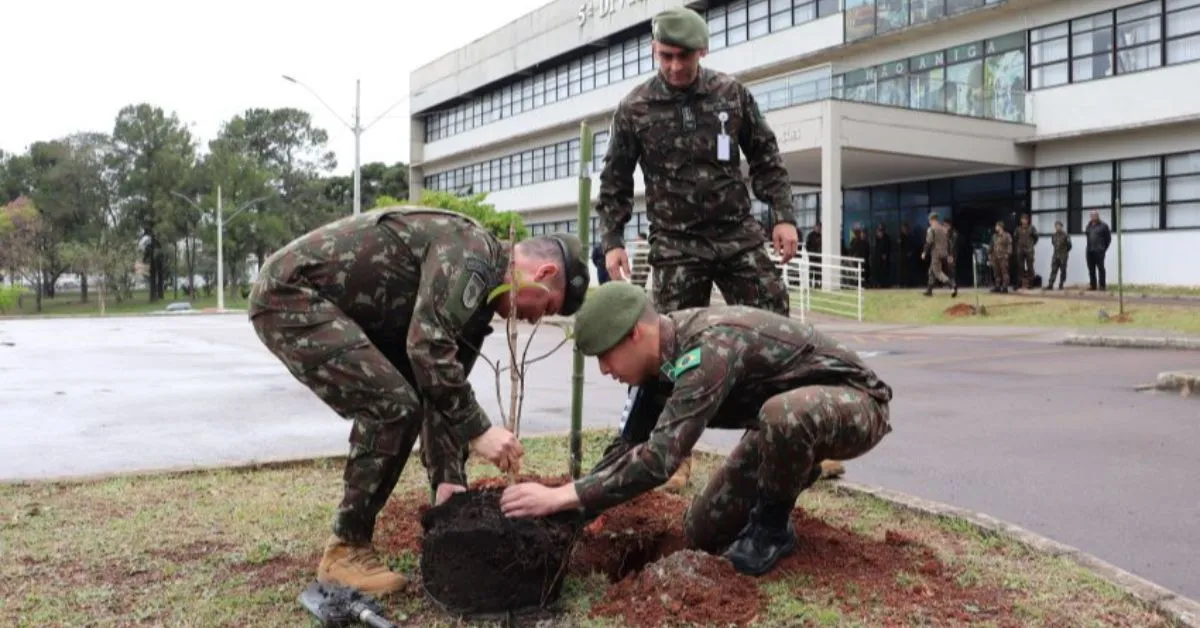 Cb Onorato, Sd Macedo, Sd Allessi realizando o plantio de plantas.