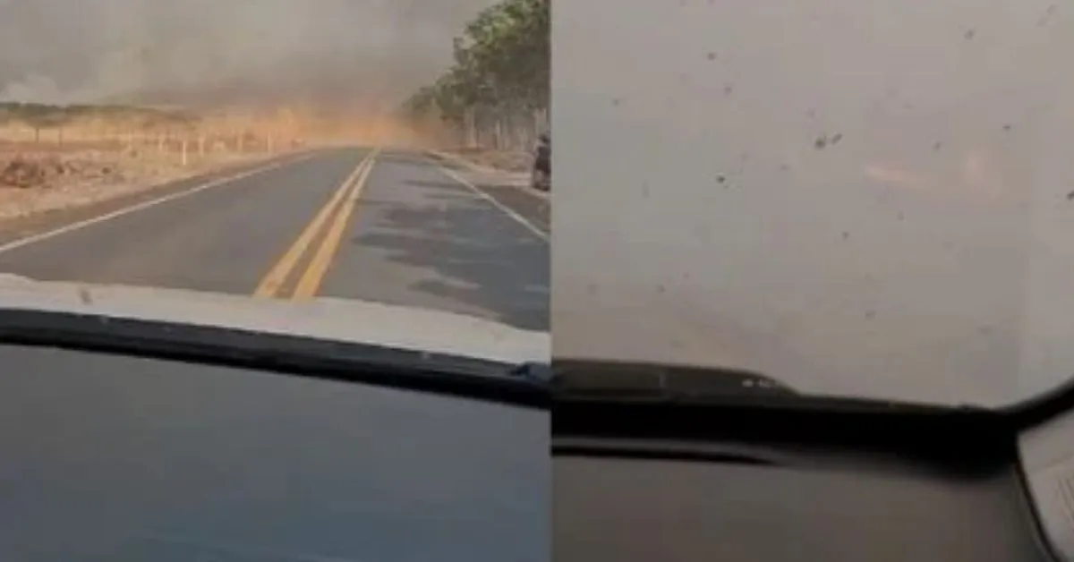 Saiba o que fazer ao se deparar com incêndios em rodovias