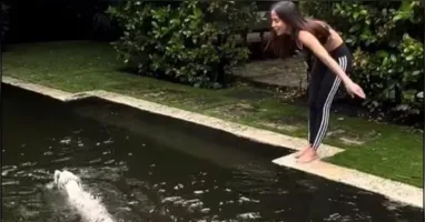 A cantora confundiu uma iguana com um mini jacaré
