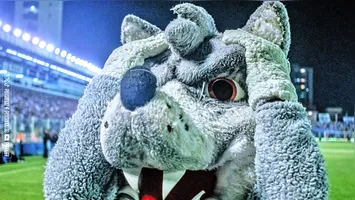 O Lobo está desesperado