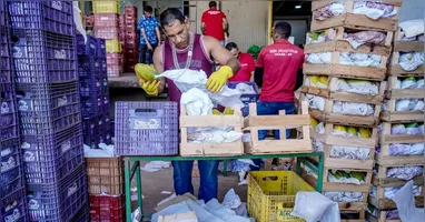 Desperdício de alimentos está em pauta no Congresso Nacional