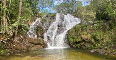 Com atrações para todos os perfis de visitantes, eles proporcionam aproximação com recursos naturais paraenses, e também lazer e diversão.