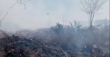 O líder comunitário relata que à noite o fogo avança bastante e a fumaça já prejudica a população local.