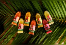 Imagem ilustrativa da notícia Consumo e produção conscientes: conheça a Amazonique