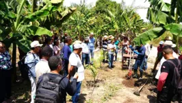 Os agricultores conheceram na prática, as técnicas de cultivo e manejo do açaí, macaxeira e algumas essências florestais.