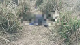 Corpo masculino encontrado na zona rural de Parauapebas