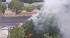 Terreno abandonado voltou a pegar fogo um dia depois de outro incêndio ter sido controlado pelo Corpo de Bombeiros.