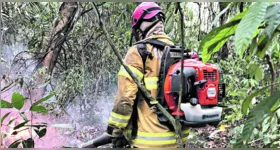 Para o aparelhamento e estruturação, o Corpo de Bombeiros Militar paraense poderá adquirir máquinas e equipamentos.