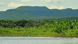 Nos 15 municípios abrangidos pelo decreto de emergência no Pará, a área recoberta por alertas de desmatamento caiu 57%