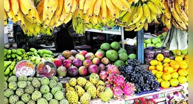 O ideal para o dia a dia é consumir bastante frutas e vegetais, segundo especialista