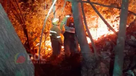 Um incêndio que está consumindo uma área da Floresta Nacional de Carajás