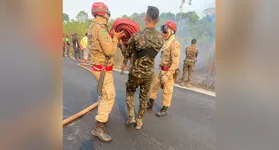 23ª Brigada dá apoio ao Corpo de Bombeiros nas ações de combate ao incêndio na Terra Indígena Mãe Maria