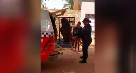 A mulher ainda tentou se esconder pulando muros da redondeza, mas foi presa