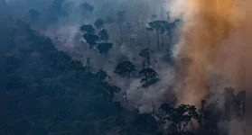 Durante a estação, é previsto que o sul do Amazonas, uma das áreas que é foco de incêndios, ainda sofra com a seca, incidência de queimadas e incêndios florestais