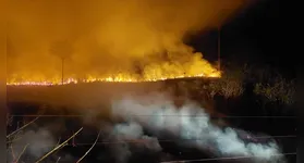 . As equipes do Ibama têm atuado diretamente nas ações de combate ao fogo