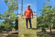 Eduardo Aguiar e outros moradores estão plantando Ipês pelo Conjunto Júlia Seffer, em Ananindeua,