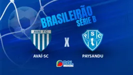 Avaí e Paysandu se enfrentam com objetivos distintos na Série B 2024