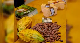 O maior evento de cacau e chocolate da América Latina, em sua 39ª edição, reúne atrações para todos os gostos