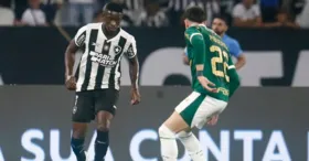 Duelo entre Botafogo e Palmeiras vale a vida na Libertadores 2024