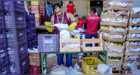 Desperdício de alimentos está em pauta no Congresso Nacional