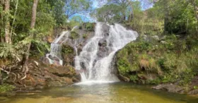 Com atrações para todos os perfis de visitantes, eles proporcionam aproximação com recursos naturais paraenses, e também lazer e diversão.