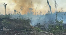 A prisão faz parte das operações de repressão aos crimes ambientais que afetam não apenas essa área, mas grande parte da Amazônia Legal