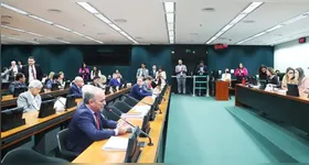 A PEC proíbe as chamadas "Decisões Monocráticas" no Supremo Tribunal Federal.