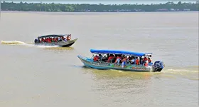 Movimento para a ilha do combu cresce cada vez mais