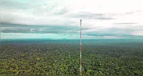 Vista da Torre Alta da Amazôni, com 35 metros de altura. A infraestrutura é fundamental para monitorar e conhecer os processos e fluxos da floresta.