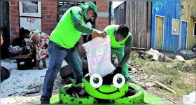 As mudas foram plantadas em pneus reciclados.