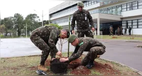 Cb Onorato, Sd Macedo, Sd Allessi realizando o plantio de plantas.