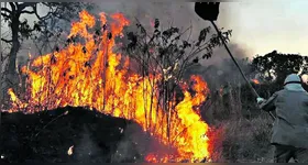 Fumaças causadas pelos incêndios já atingiram mais de 60% do território nacional