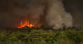 Segundo Barroso, incêndios são provocados pela ação humana.