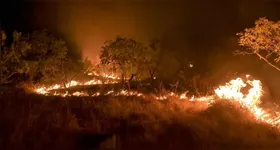 Segundo a pesquisa divulgada pelo Observatório do Clima, os incêndios no bioma emitiram mais de 31 milhões de toneladas de CO².