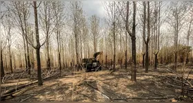 Foram constatadas cerca de 8.000 mil hectares de área queimada dentro de uma fazenda.