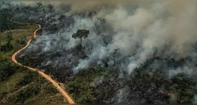 O município de São Félix do Xingu registrou 1.819 focos de incêndio nas três últimas semanas.