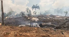 A área destruída é equivalente a 6.800 campos de futebol.