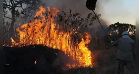 Todos os biomas registraram focos de incêndio nas últimas 24 horas.